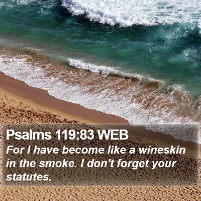 Psalms 119:83 WEB Bible Verse Image