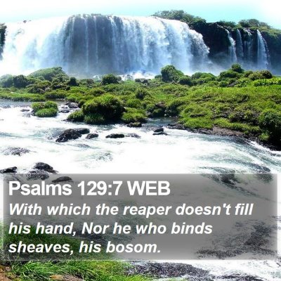 Psalms 129:7 WEB Bible Verse Image