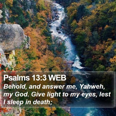 Psalms 13:3 WEB Bible Verse Image