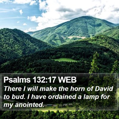 Psalms 132:17 WEB Bible Verse Image