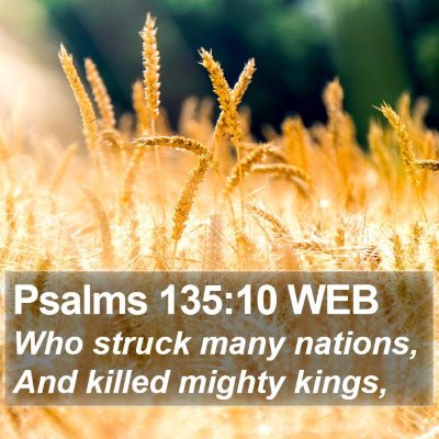 Psalms 135:10 WEB Bible Verse Image