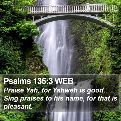 Psalms 135:3 WEB Bible Verse Image