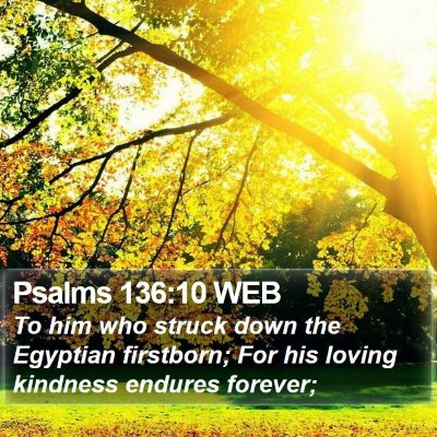 Psalms 136:10 WEB Bible Verse Image