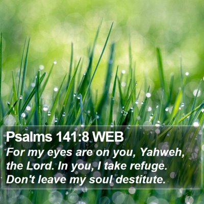 Psalms 141:8 WEB Bible Verse Image