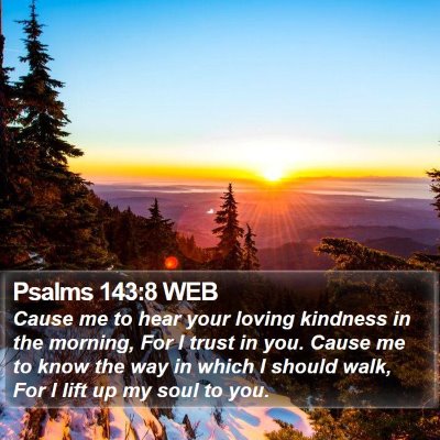 Psalms 143:8 WEB Bible Verse Image