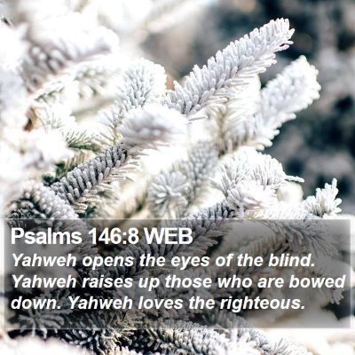 Psalms 146:8 WEB Bible Verse Image