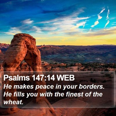 Psalms 147:14 WEB Bible Verse Image