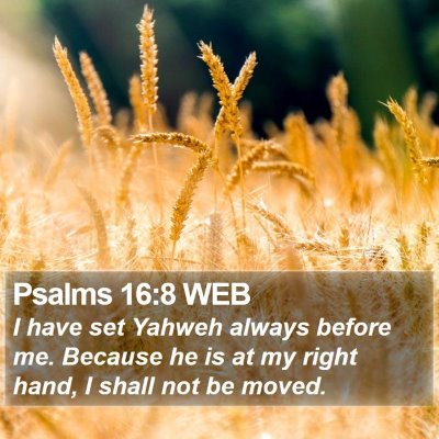 Psalms 16:8 WEB Bible Verse Image