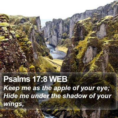 Psalms 17:8 WEB Bible Verse Image