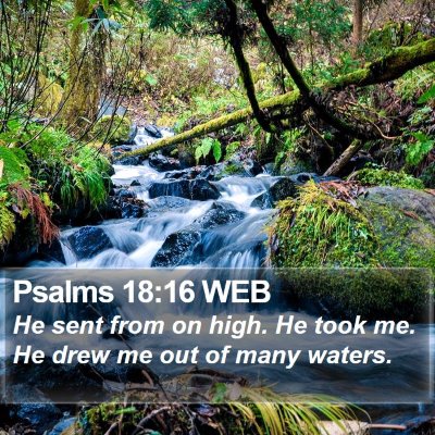 Psalms 18:16 WEB Bible Verse Image