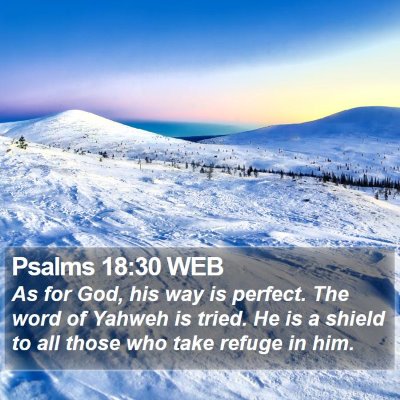 Psalms 18:30 WEB Bible Verse Image