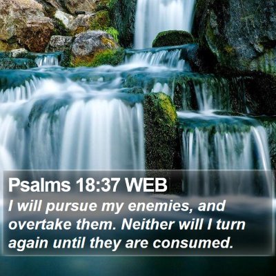 Psalms 18:37 WEB Bible Verse Image