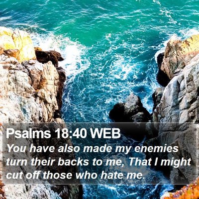 Psalms 18:40 WEB Bible Verse Image