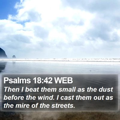 Psalms 18:42 WEB Bible Verse Image