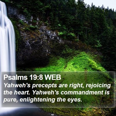 Psalms 19:8 WEB Bible Verse Image
