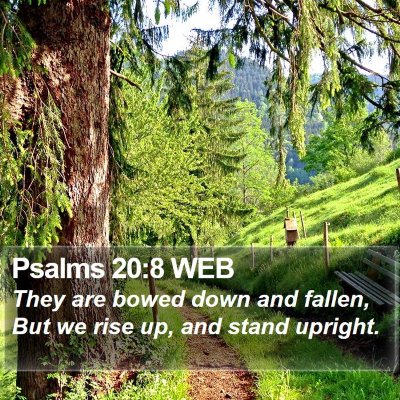 Psalms 20:8 WEB Bible Verse Image
