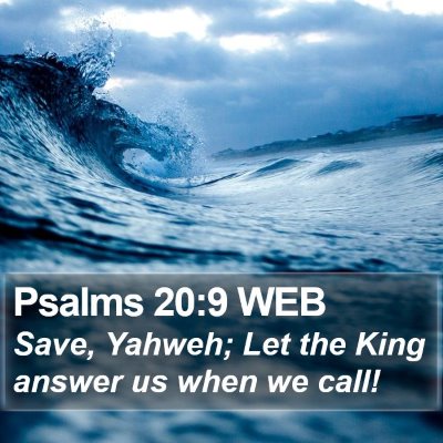 Psalms 20:9 WEB Bible Verse Image
