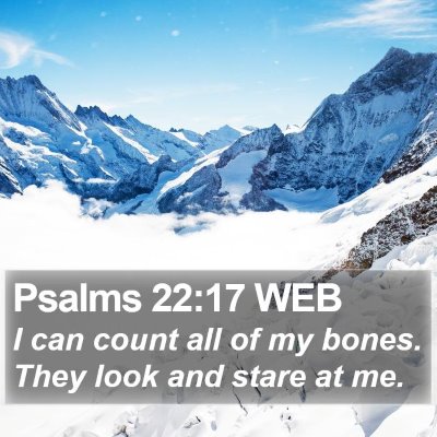 Psalms 22:17 WEB Bible Verse Image