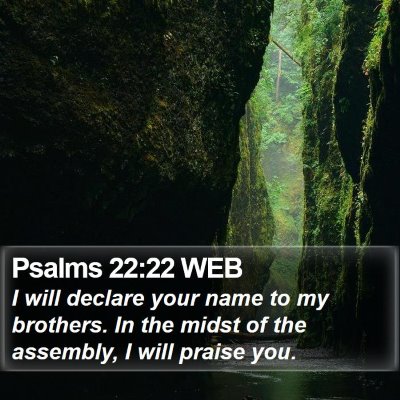Psalms 22:22 WEB Bible Verse Image