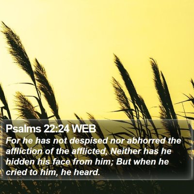 Psalms 22:24 WEB Bible Verse Image