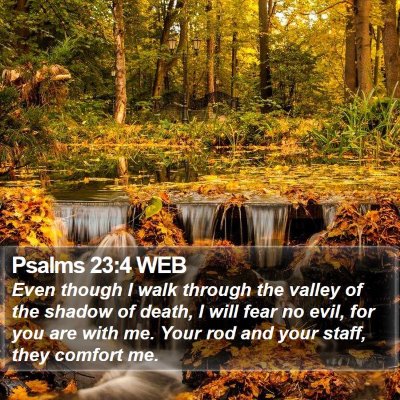 Psalms 23:4 WEB Bible Verse Image
