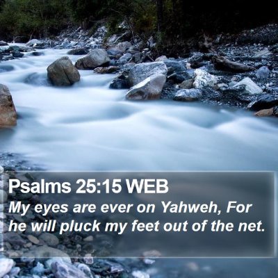 Psalms 25:15 WEB Bible Verse Image