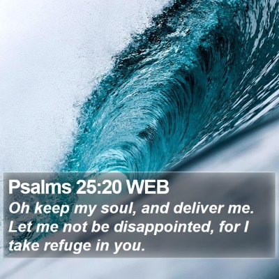 Psalms 25:20 WEB Bible Verse Image
