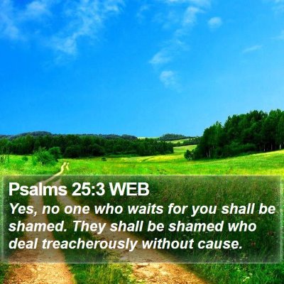 Psalms 25:3 WEB Bible Verse Image