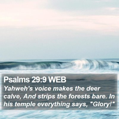 Psalms 29:9 WEB Bible Verse Image