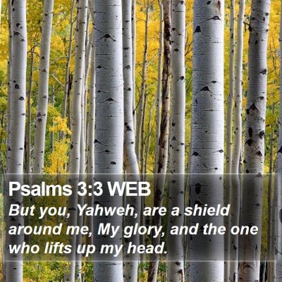 Psalms 3:3 WEB Bible Verse Image