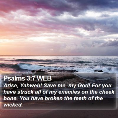 Psalms 3:7 WEB Bible Verse Image