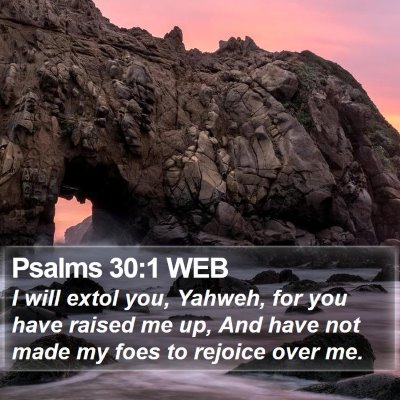 Psalms 30:1 WEB Bible Verse Image