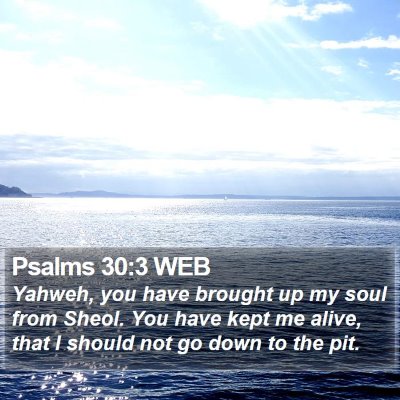 Psalms 30:3 WEB Bible Verse Image