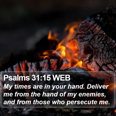 Psalms 31:15 WEB Bible Verse Image
