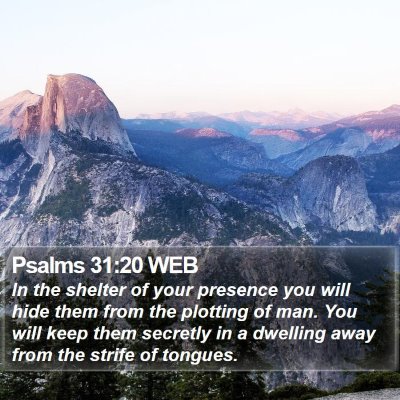 Psalms 31:20 WEB Bible Verse Image
