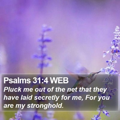 Psalms 31:4 WEB Bible Verse Image