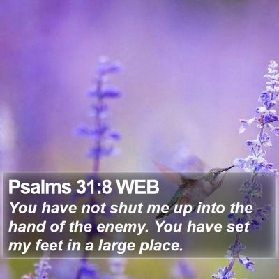 Psalms 31:8 WEB Bible Verse Image
