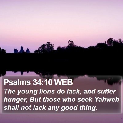 Psalms 34:10 WEB Bible Verse Image