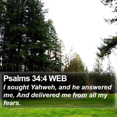 Psalms 34:4 WEB Bible Verse Image