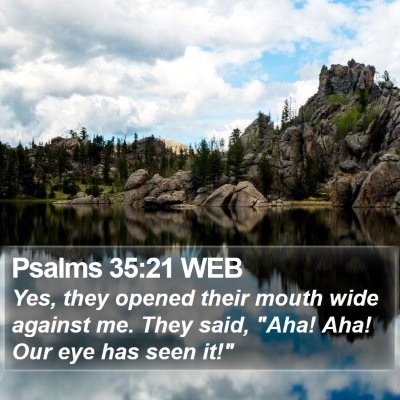 Psalms 35:21 WEB Bible Verse Image