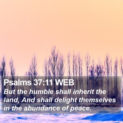 Psalms 37:11 WEB Bible Verse Image