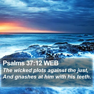 Psalms 37:12 WEB Bible Verse Image