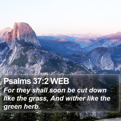 Psalms 37:2 WEB Bible Verse Image