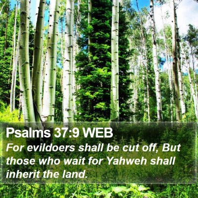 Psalms 37:9 WEB Bible Verse Image