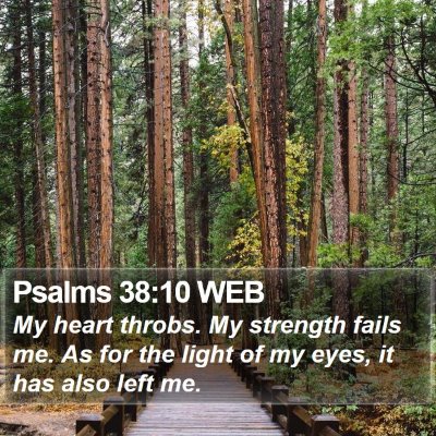 Psalms 38:10 WEB Bible Verse Image