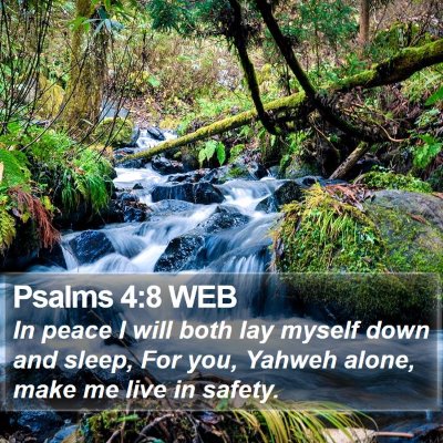 Psalms 4:8 WEB Bible Verse Image