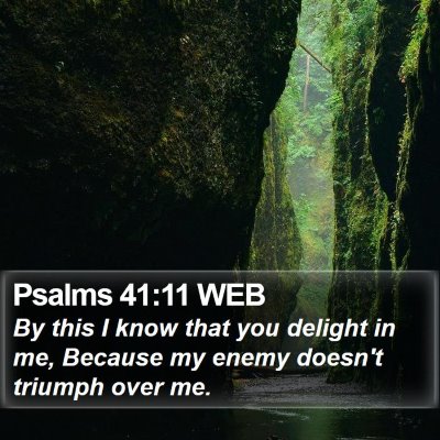 Psalms 41:11 WEB Bible Verse Image