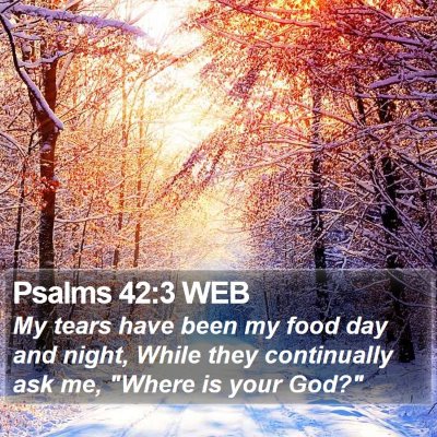 Psalms 42:3 WEB Bible Verse Image
