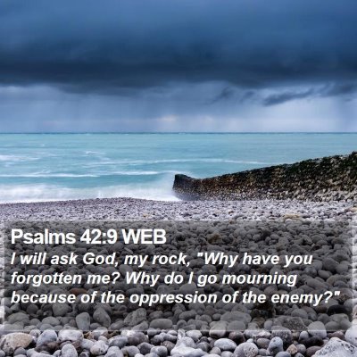 Psalms 42:9 WEB Bible Verse Image