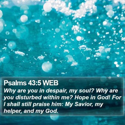 Psalms 43:5 WEB Bible Verse Image